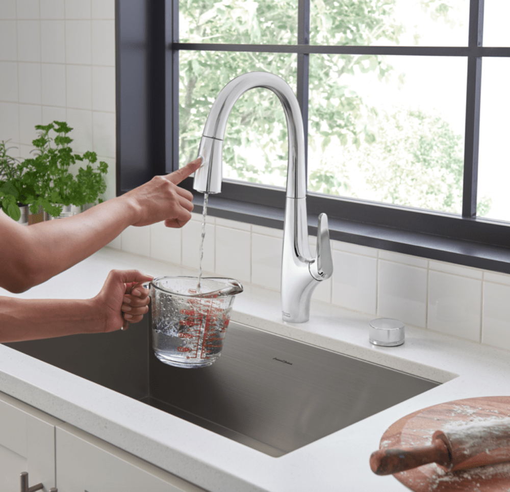 Saybrook Filtered Kitchen Faucet